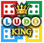 backstagemedia-digital-marketing-agency-chennai-client-ludo-king-logo
